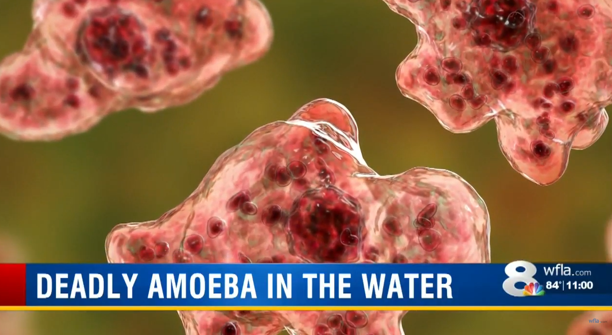 Health officials in Florida have sounded the alarm over the discovery of a rare, brain-eating amoeba in the county that encompasses Tampa and several 