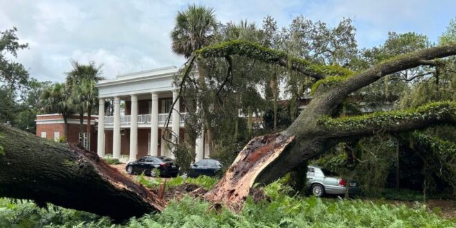 God Smashes Giant Tree Into FL Governor’s Mansion (joemygod.com)